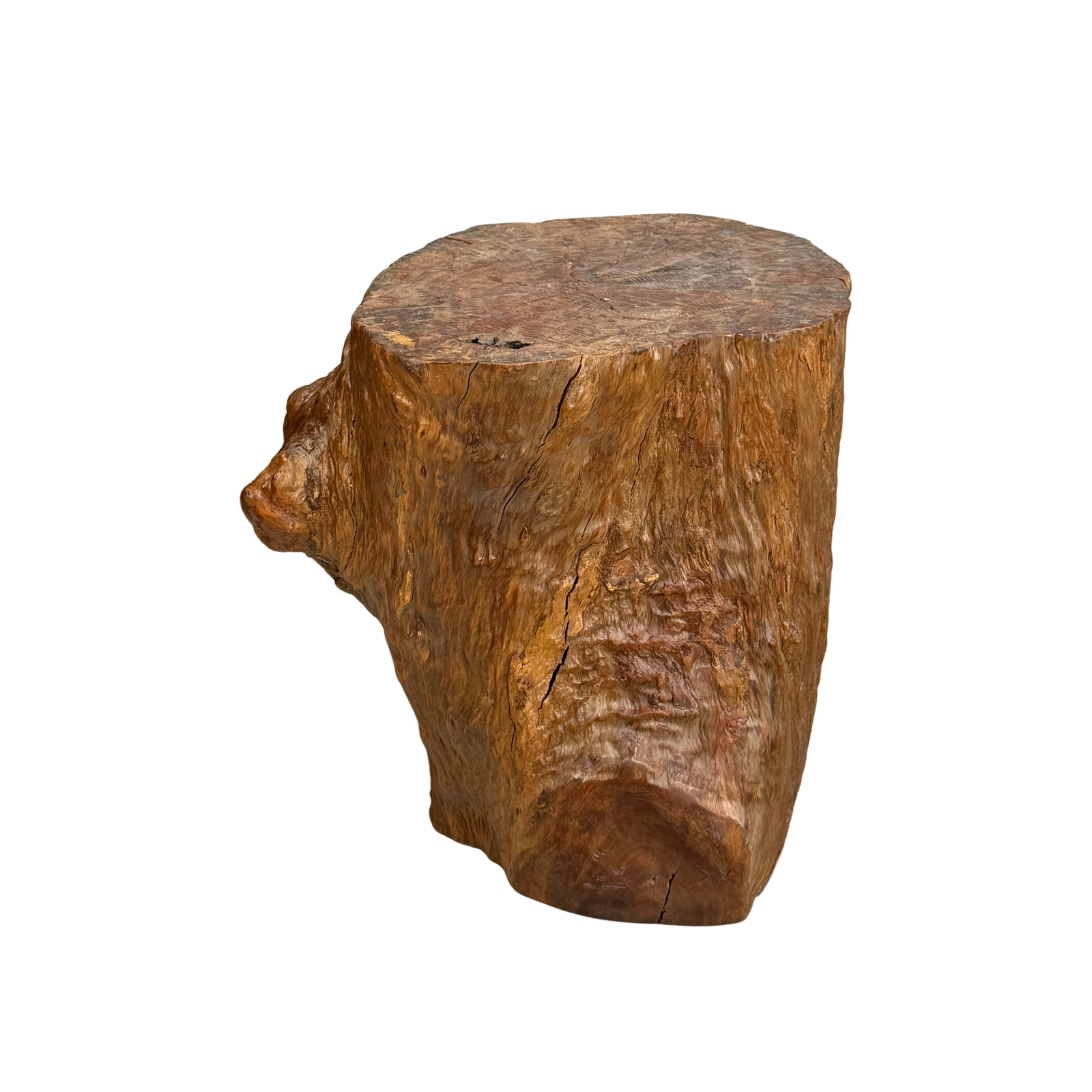 Large Light Brown Free-Form Tree Trunk Side Pedestal Table - FEA Home