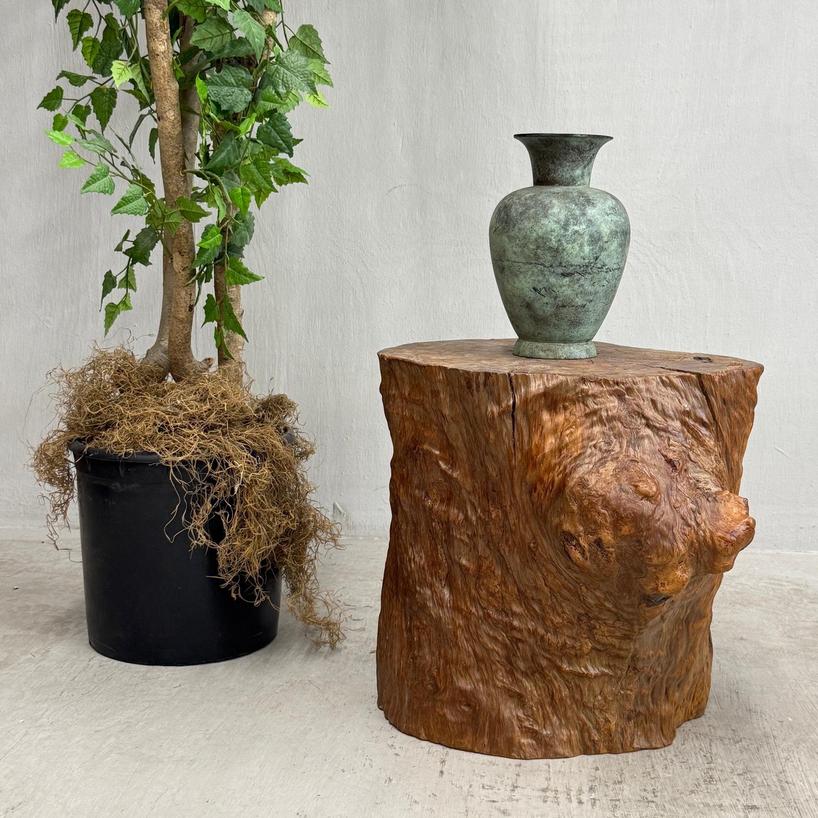 Large Light Brown Free-Form Tree Trunk Side Pedestal Table - FEA Home