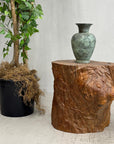 Large Light Brown Free-Form Tree Trunk Side Pedestal Table - FEA Home