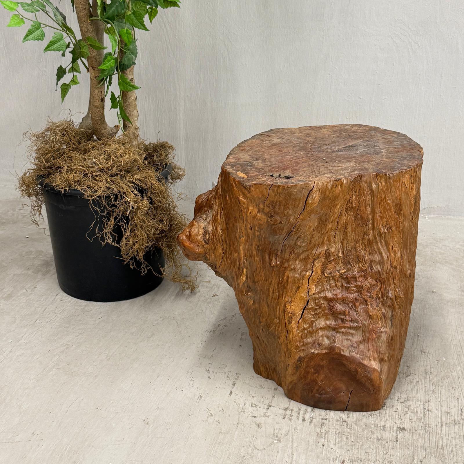 Large Light Brown Free-Form Tree Trunk Side Pedestal Table - FEA Home