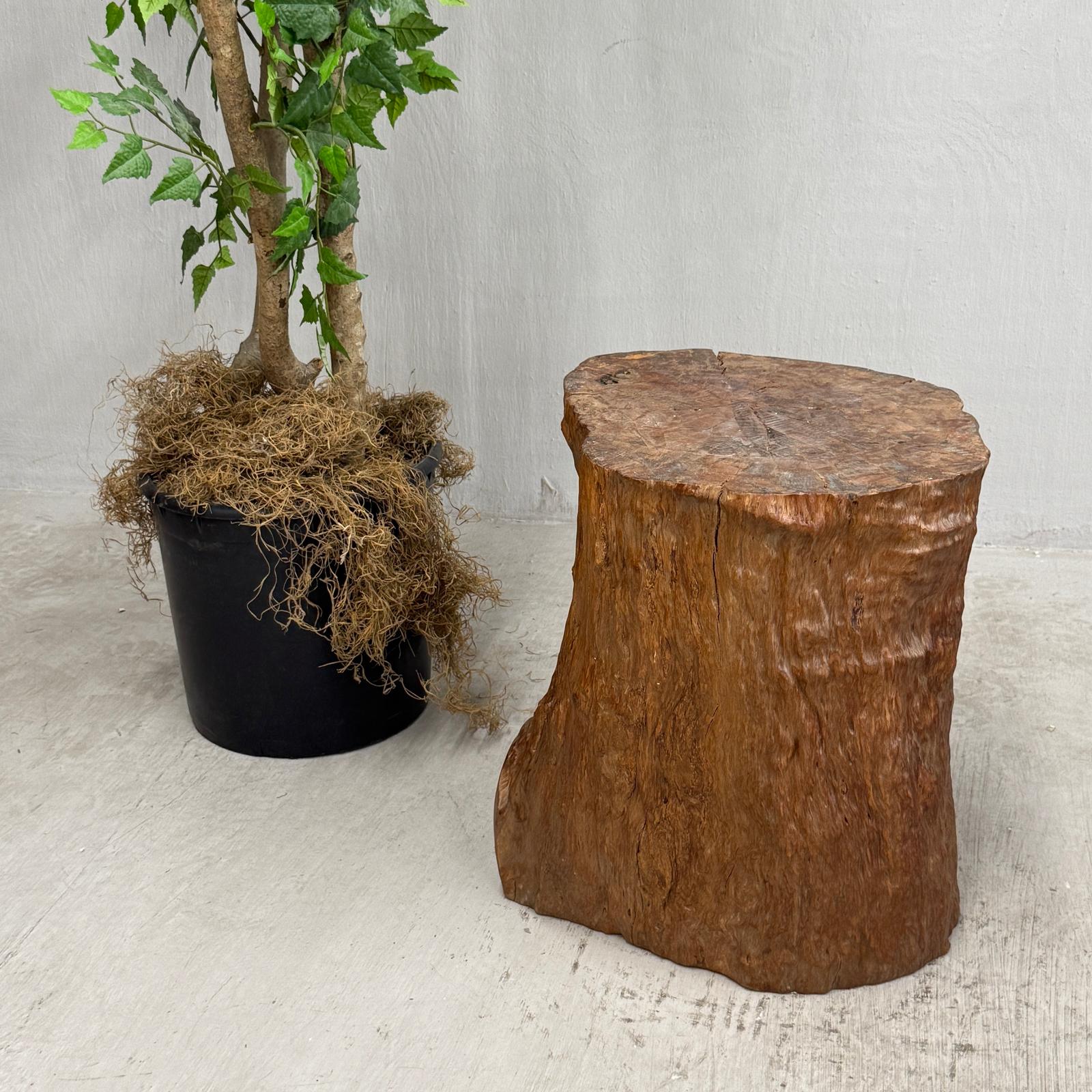 Large Light Brown Free-Form Tree Trunk Side Pedestal Table - FEA Home