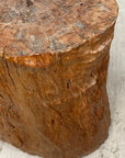 Large Light Brown Free-Form Tree Trunk Side Pedestal Table - FEA Home