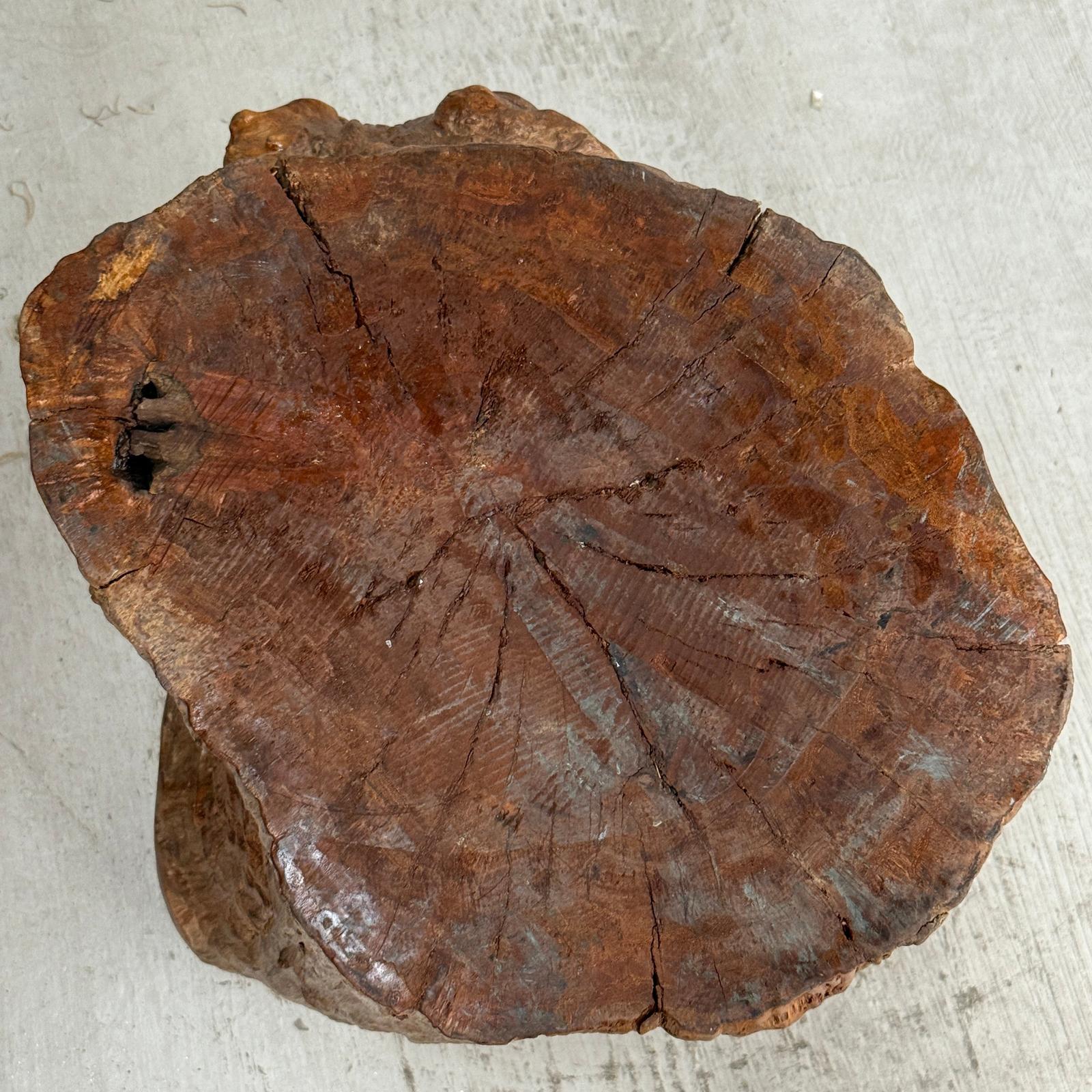 Large Light Brown Free-Form Tree Trunk Side Pedestal Table - FEA Home