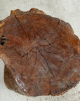Large Light Brown Free-Form Tree Trunk Side Pedestal Table - FEA Home