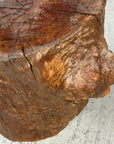 Large Light Brown Free-Form Tree Trunk Side Pedestal Table - FEA Home