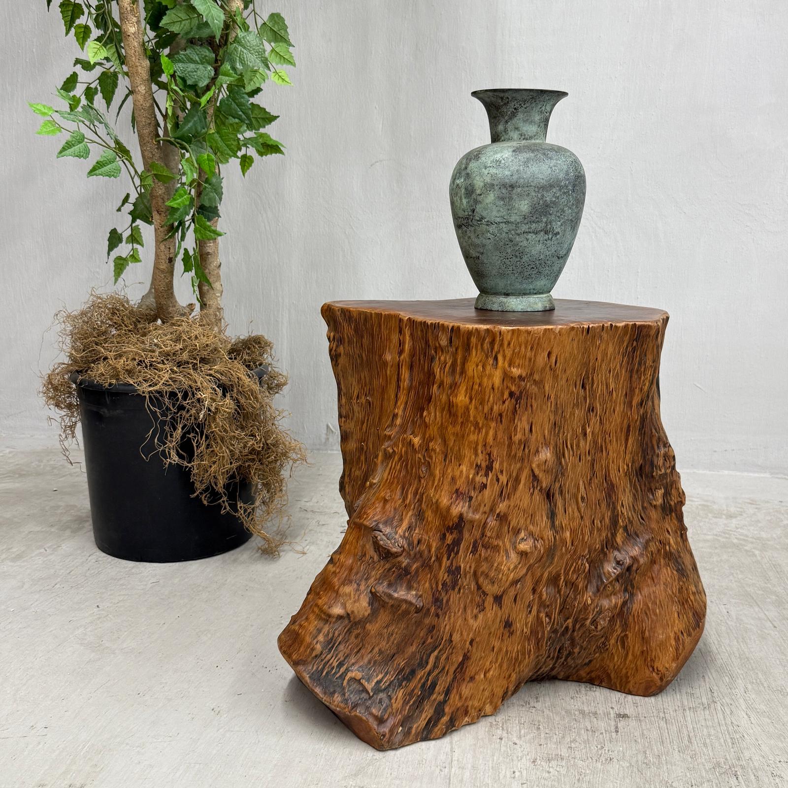 Large Reclaimed Free-Form Tree Trunk Side Pedestal Table - FEA Home