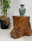 Large Reclaimed Free-Form Tree Trunk Side Pedestal Table - FEA Home
