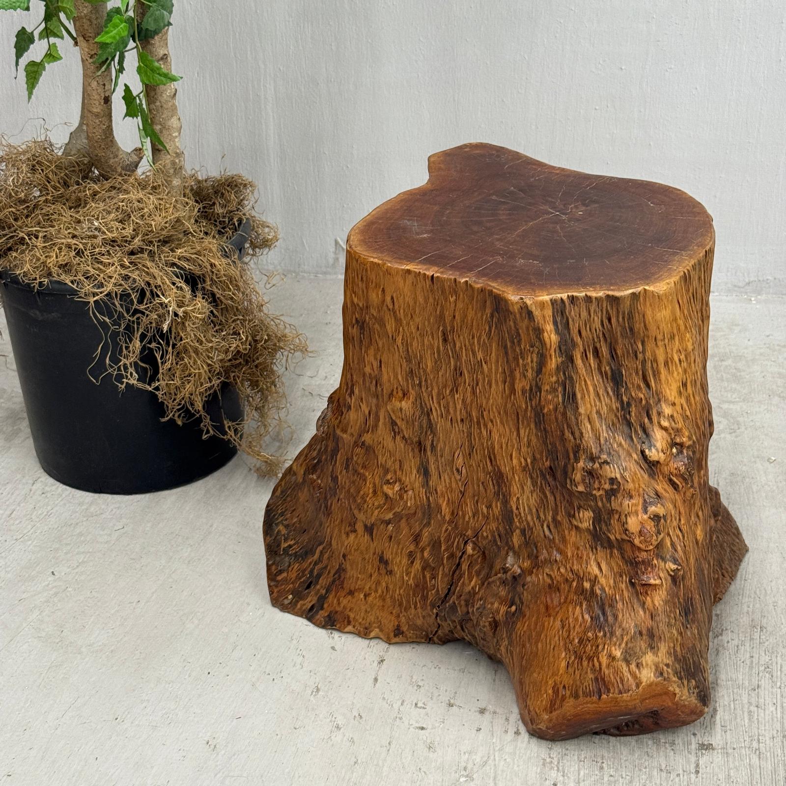 Large Reclaimed Free-Form Tree Trunk Side Pedestal Table - FEA Home
