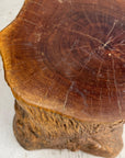 Large Reclaimed Free-Form Tree Trunk Side Pedestal Table - FEA Home