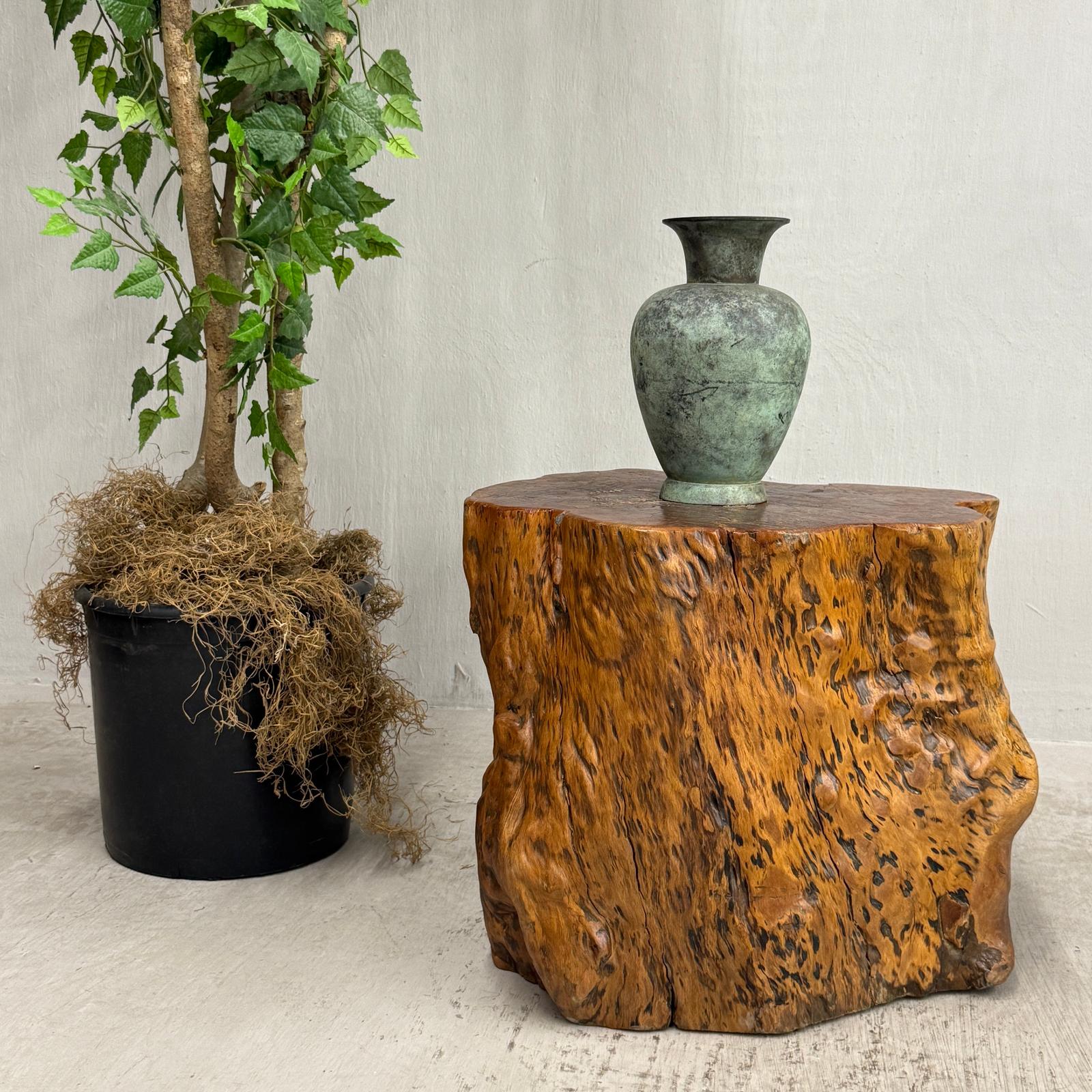 Large Wide Free-Form Reclaimed Tree Trunk Pedestal Table - FEA Home