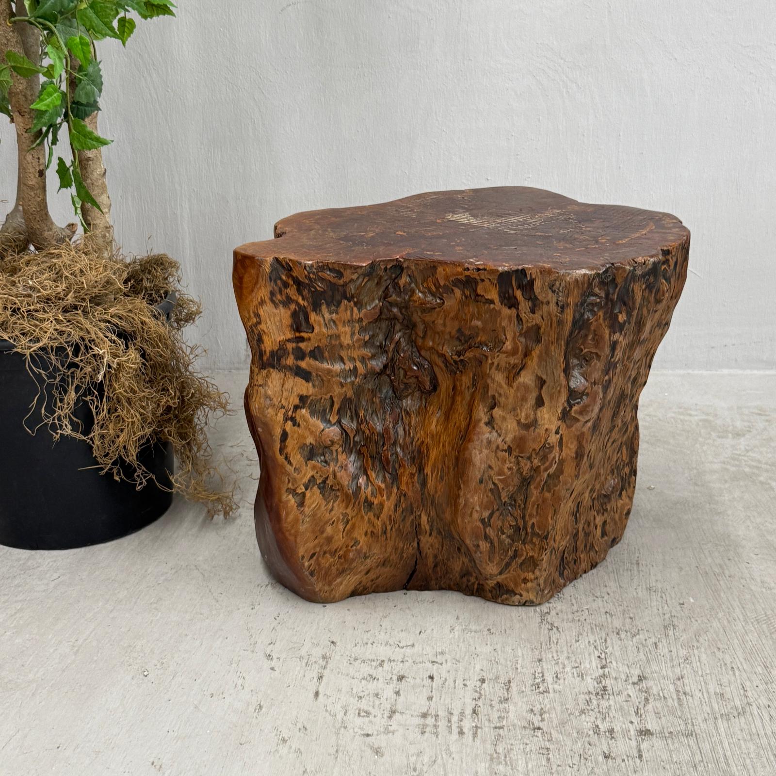 Large Wide Free-Form Reclaimed Tree Trunk Pedestal Table - FEA Home