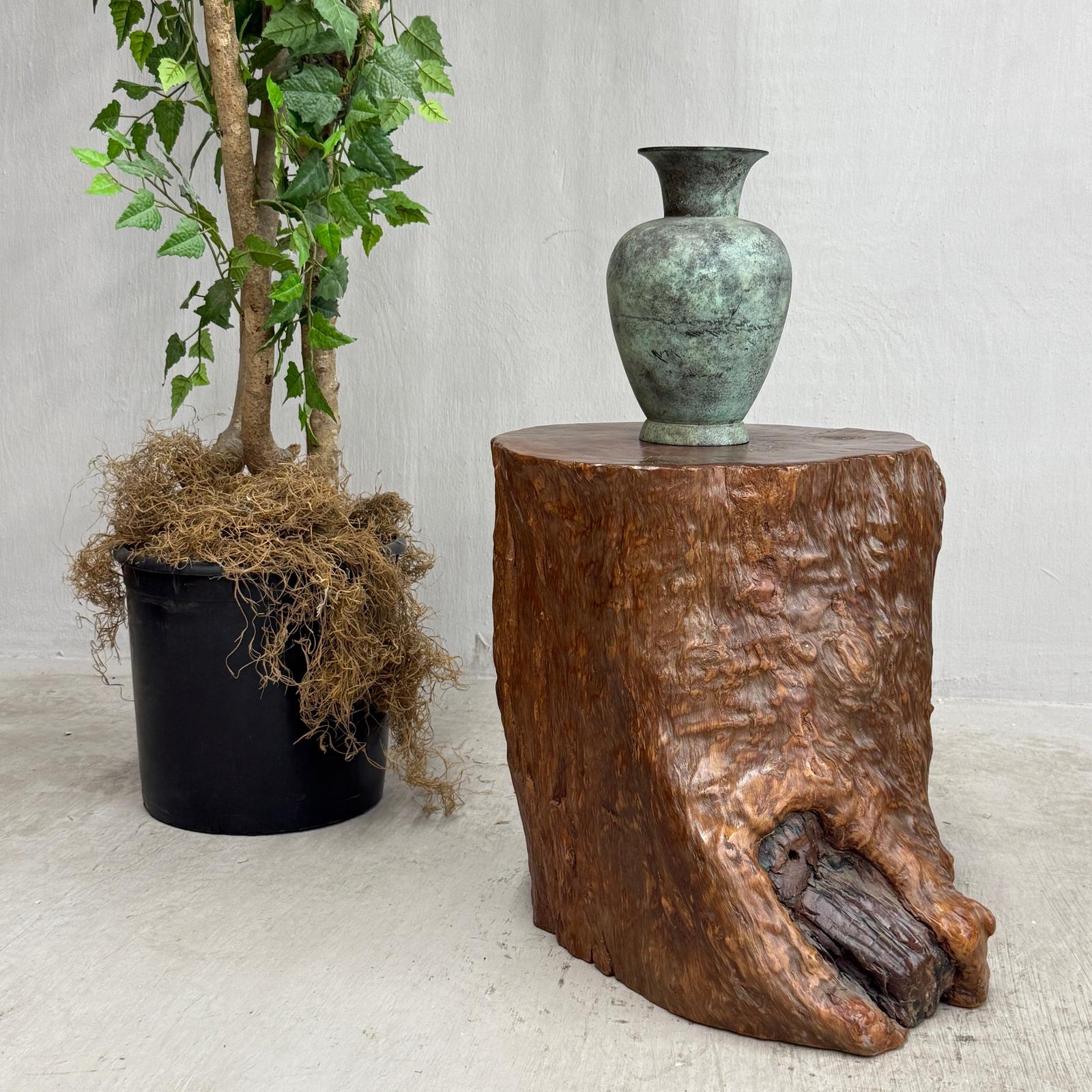 Reclaimed Tree Trunk Side Pedestal Table with Organic Shape - FEA Home