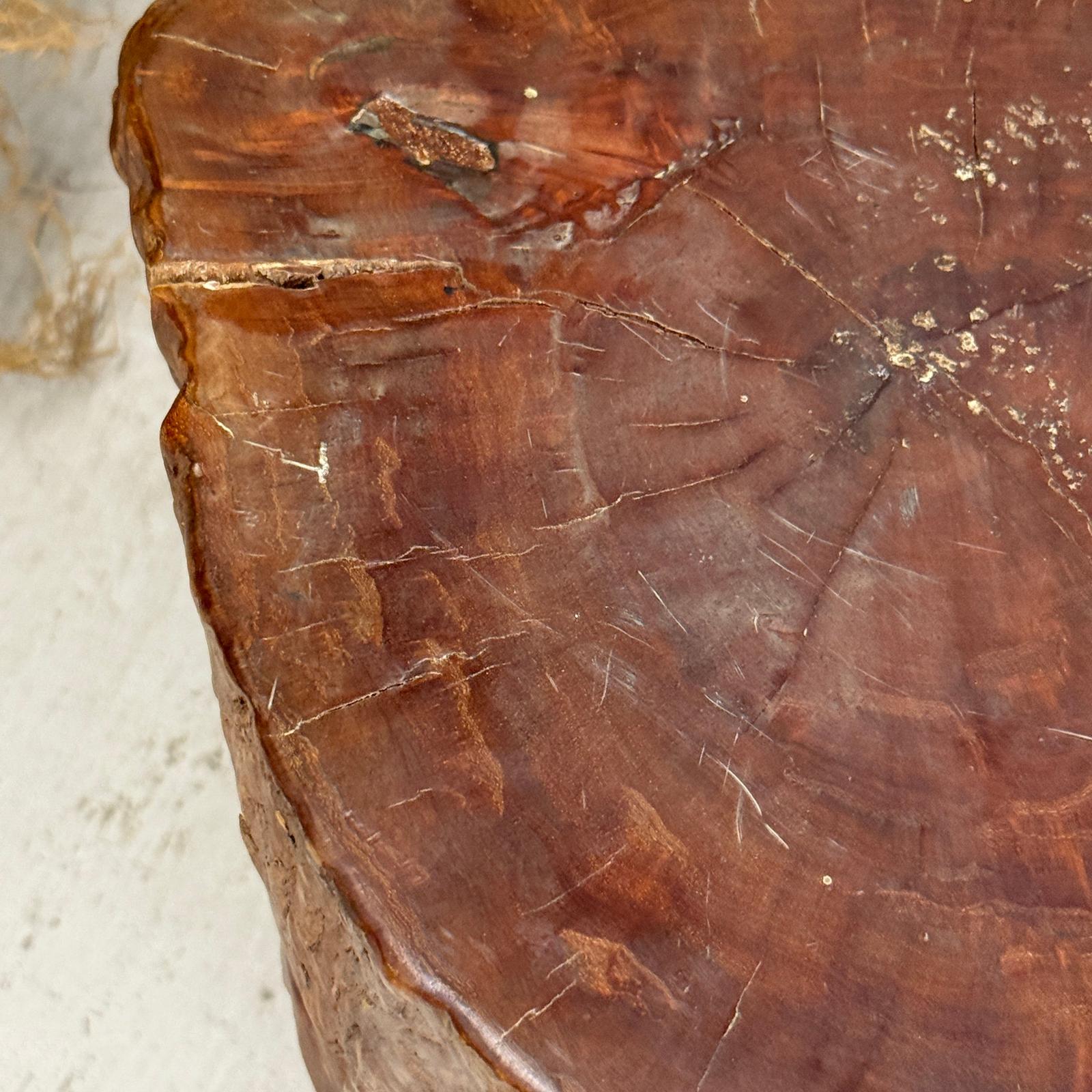 Reclaimed Tree Trunk Side Pedestal Table with Organic Shape - FEA Home