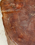 Reclaimed Tree Trunk Side Pedestal Table with Organic Shape - FEA Home
