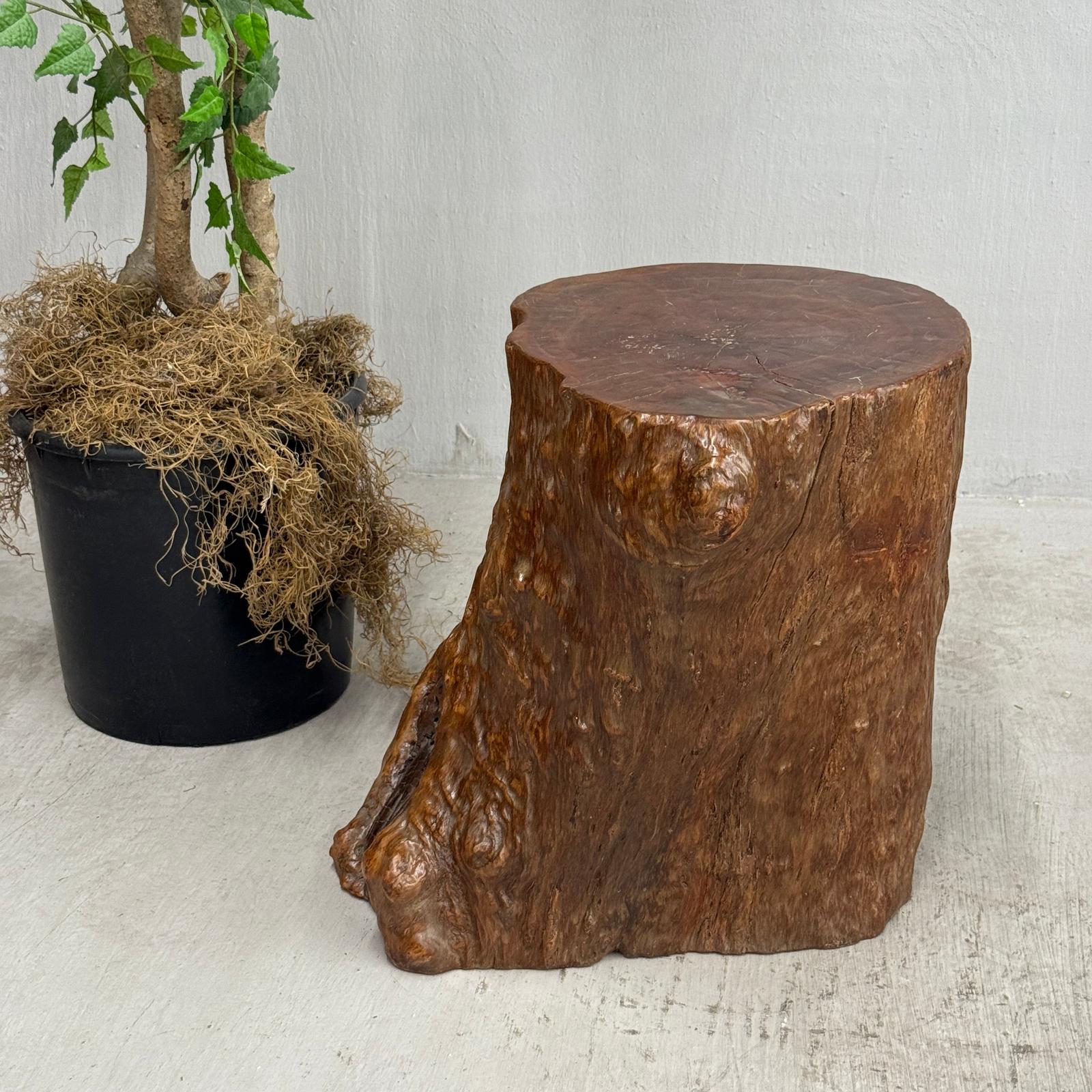 Reclaimed Tree Trunk Side Pedestal Table with Organic Shape - FEA Home