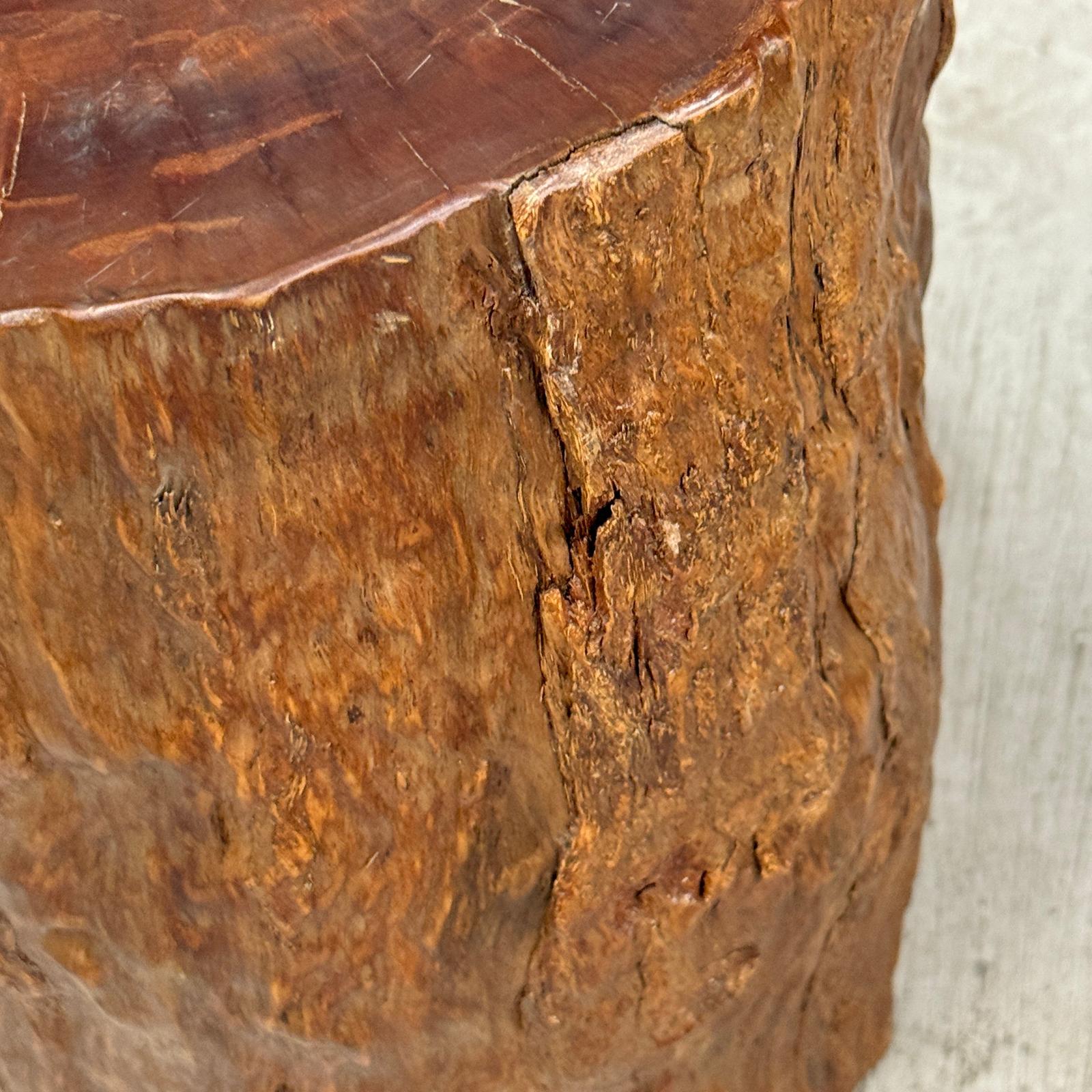 Reclaimed Tree Trunk Side Pedestal Table with Organic Shape - FEA Home