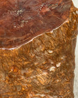 Reclaimed Tree Trunk Side Pedestal Table with Organic Shape - FEA Home