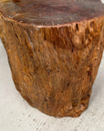 Reclaimed Tree Trunk Side Pedestal Table with Red Brown Top - FEA Home