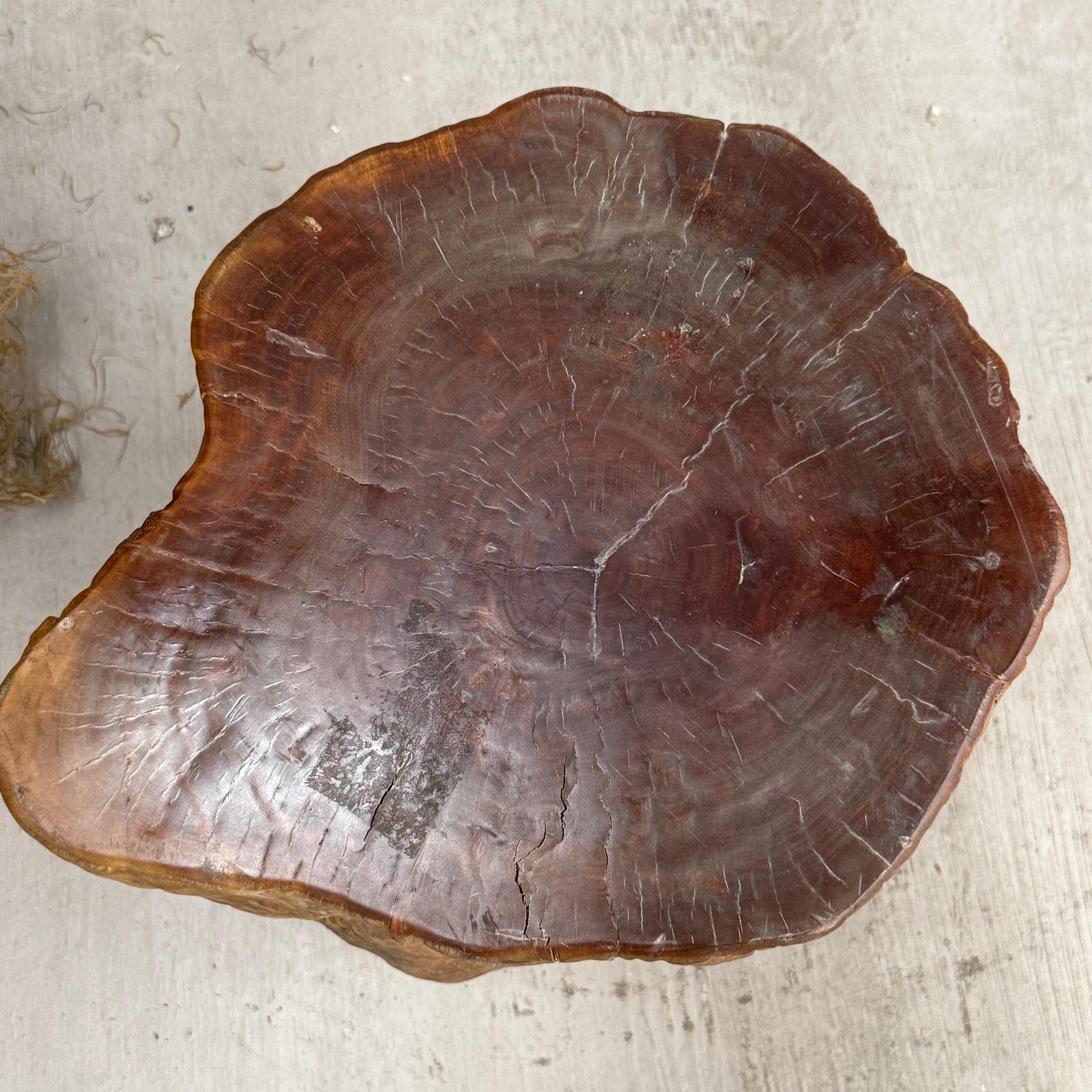 Reclaimed Tree Trunk Side Pedestal Table with Red Brown Top - FEA Home