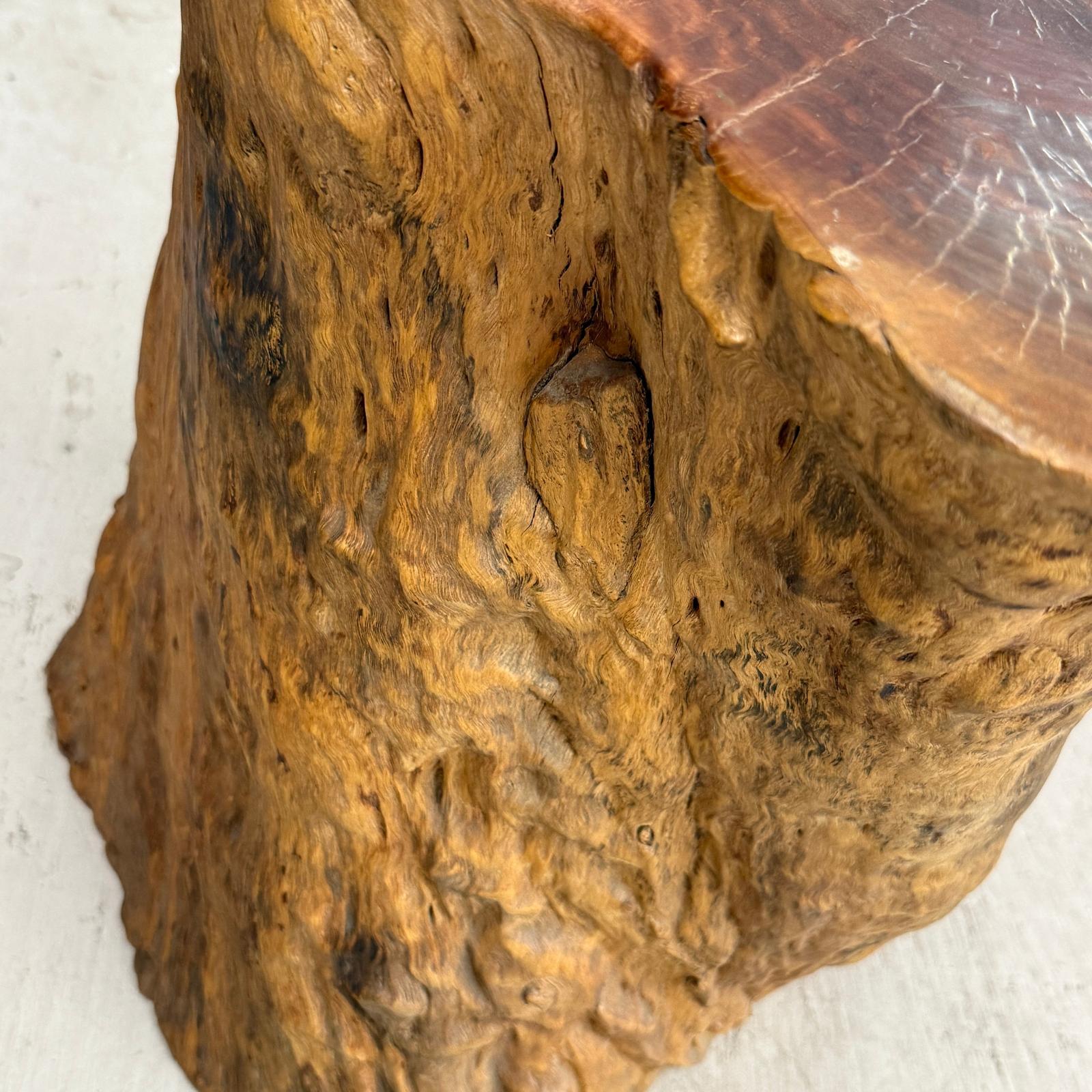 Reclaimed Tree Trunk Side Pedestal Table with Red Brown Top - FEA Home