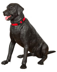 Life-size Bronze Dog Statue of a Pet Labrador-16. Asian & Chinese Furniture, Art, Antiques, Vintage Home Décor for sale at FEA Home