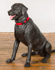 Life-size Bronze Dog Statue of a Pet Labrador-3. Asian & Chinese Furniture, Art, Antiques, Vintage Home Décor for sale at FEA Home