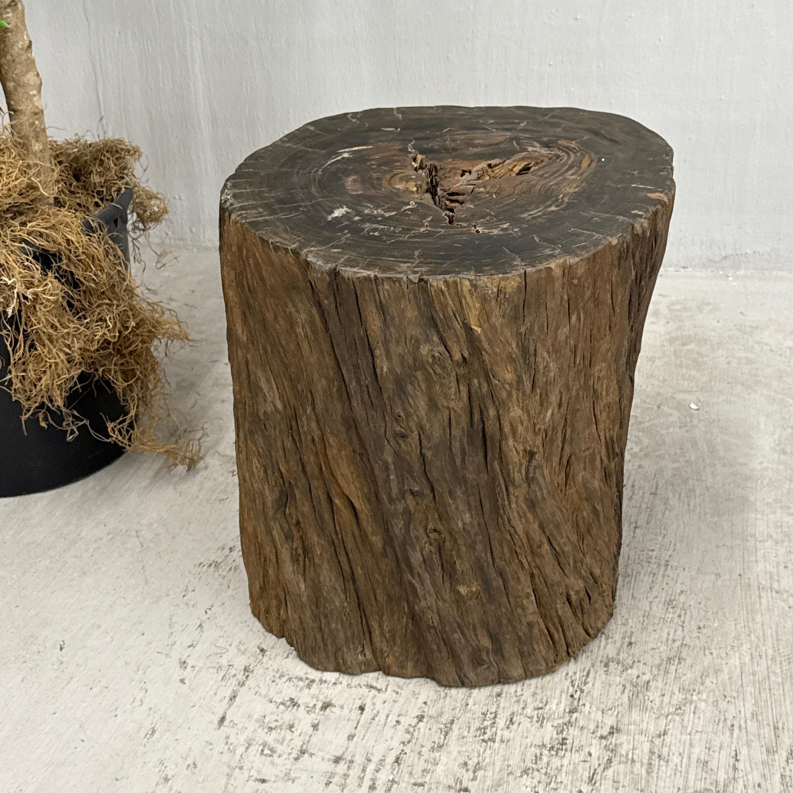 Rustic Textured Free-Form Reclaimed Tree Trunk Side Pedestal - FEA Home