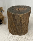 Rustic Textured Free-Form Reclaimed Tree Trunk Side Pedestal - FEA Home