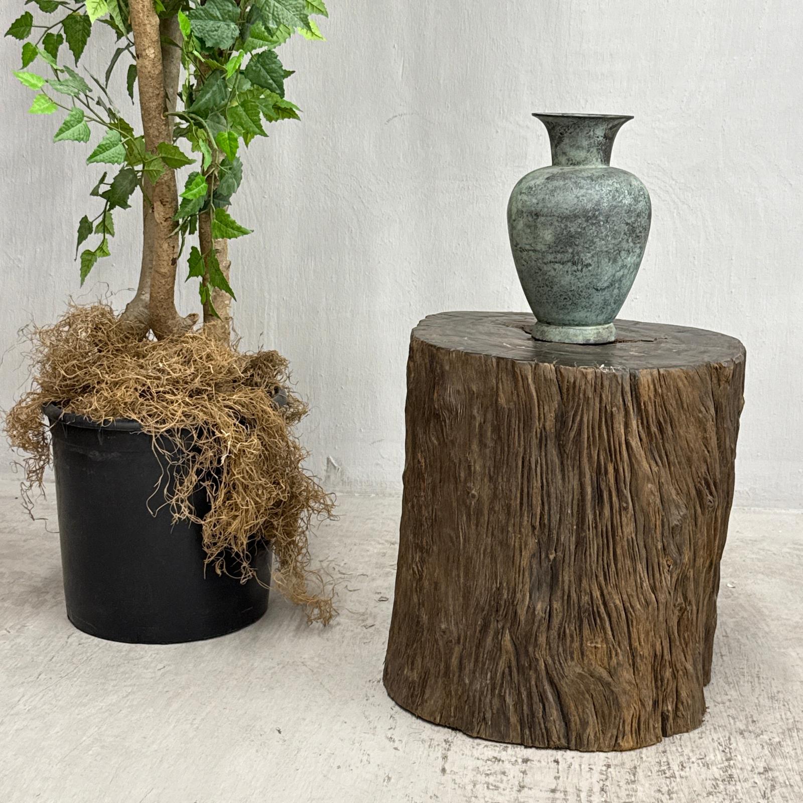 Rustic Textured Free-Form Reclaimed Tree Trunk Side Pedestal - FEA Home