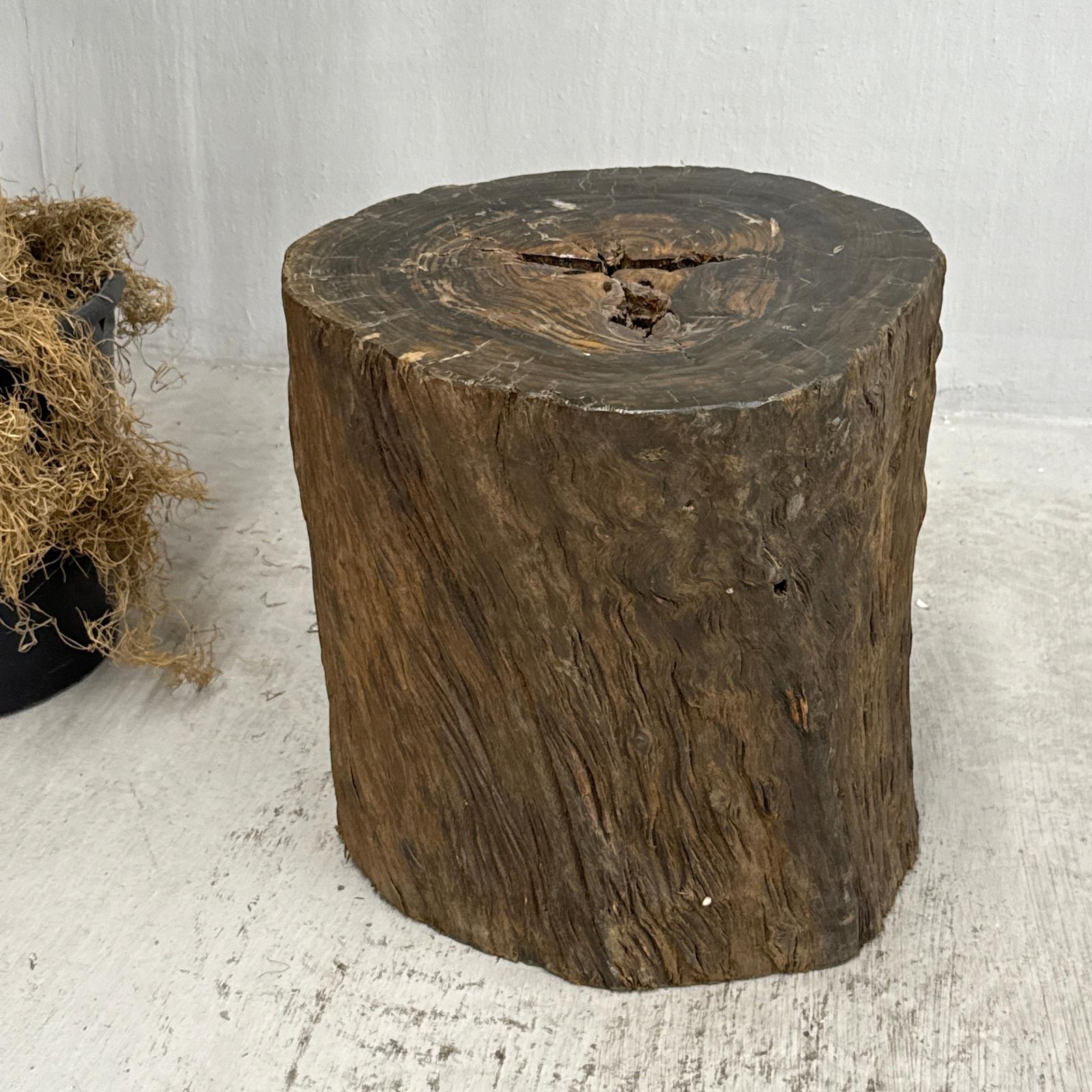 Rustic Textured Free-Form Reclaimed Tree Trunk Side Pedestal - FEA Home