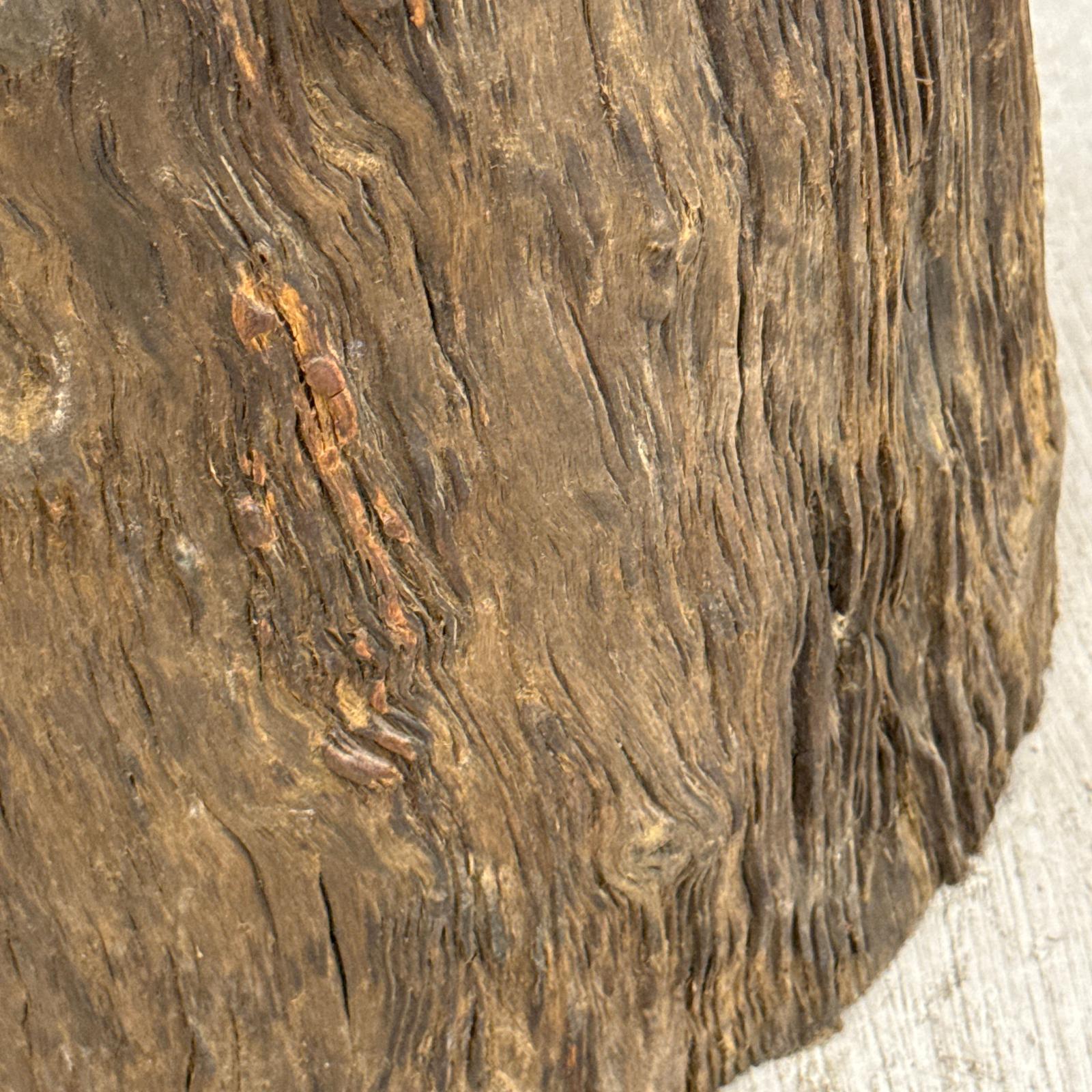 Rustic Textured Free-Form Reclaimed Tree Trunk Side Pedestal - FEA Home