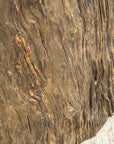 Rustic Textured Free-Form Reclaimed Tree Trunk Side Pedestal - FEA Home