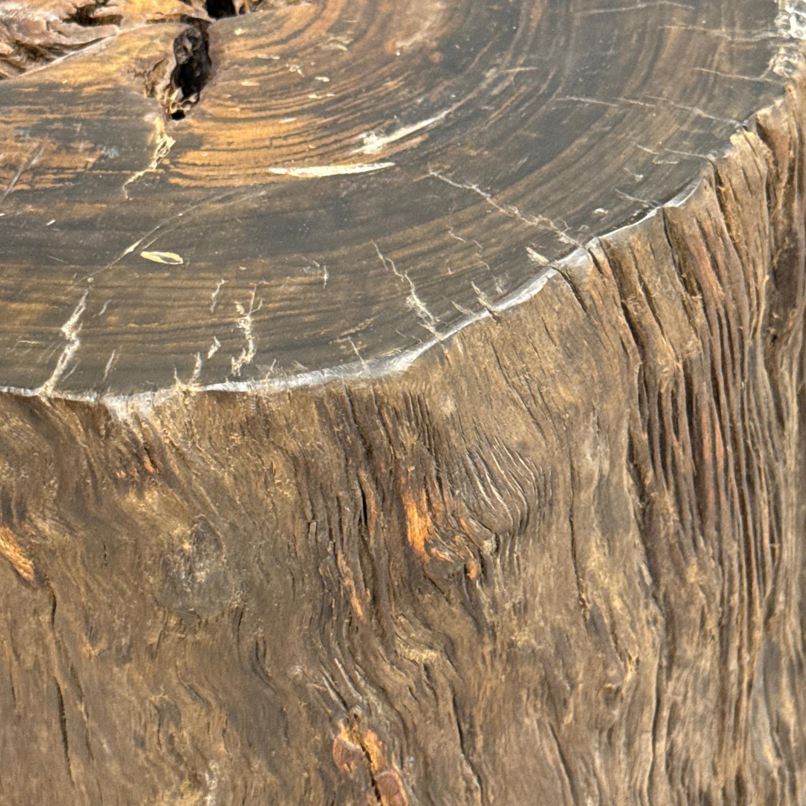Rustic Textured Free-Form Reclaimed Tree Trunk Side Pedestal - FEA Home