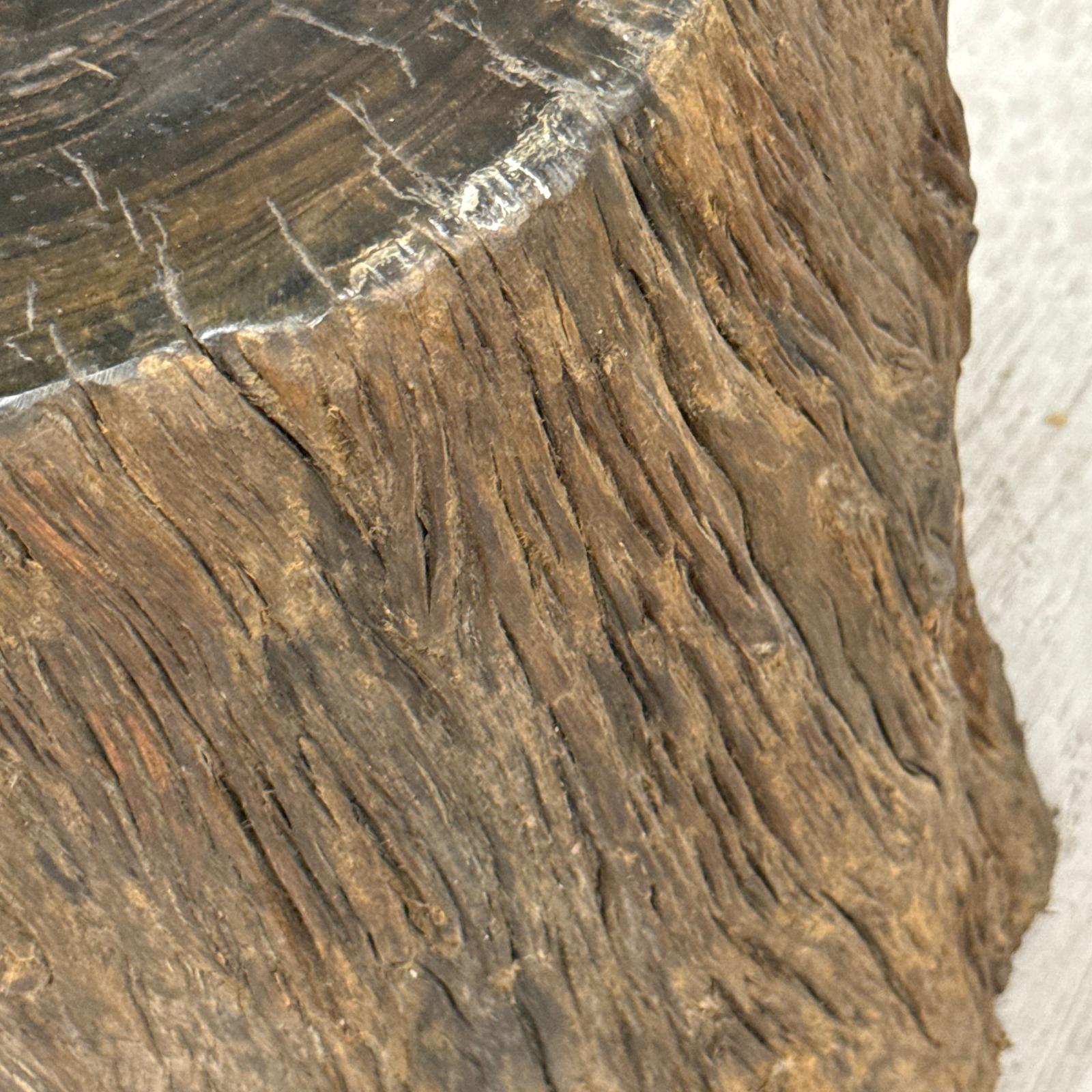 Rustic Textured Free-Form Reclaimed Tree Trunk Side Pedestal - FEA Home