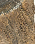 Rustic Textured Free-Form Reclaimed Tree Trunk Side Pedestal - FEA Home