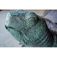 Bronze Fountain Garden Turtle Sculpture-RG1084-5. Asian & Chinese Furniture, Art, Antiques, Vintage Home Décor for sale at FEA Home
