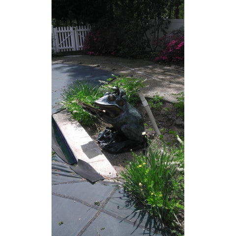 Bronze Reading Animal Sculpture, "Frog Prince"-11. Asian & Chinese Furniture, Art, Antiques, Vintage Home Décor for sale at FEA Home