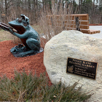 Bronze Reading Animal Sculpture, "Frog Prince"
