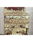 Indian Rustic Painted Wood Cabinet with Carved Foliage and Distressed Patina-10. Asian & Chinese Furniture, Art, Antiques, Vintage Home Décor for sale at FEA Home