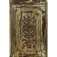 Indian Rustic Painted Wood Cabinet with Carved Foliage and Distressed Patina