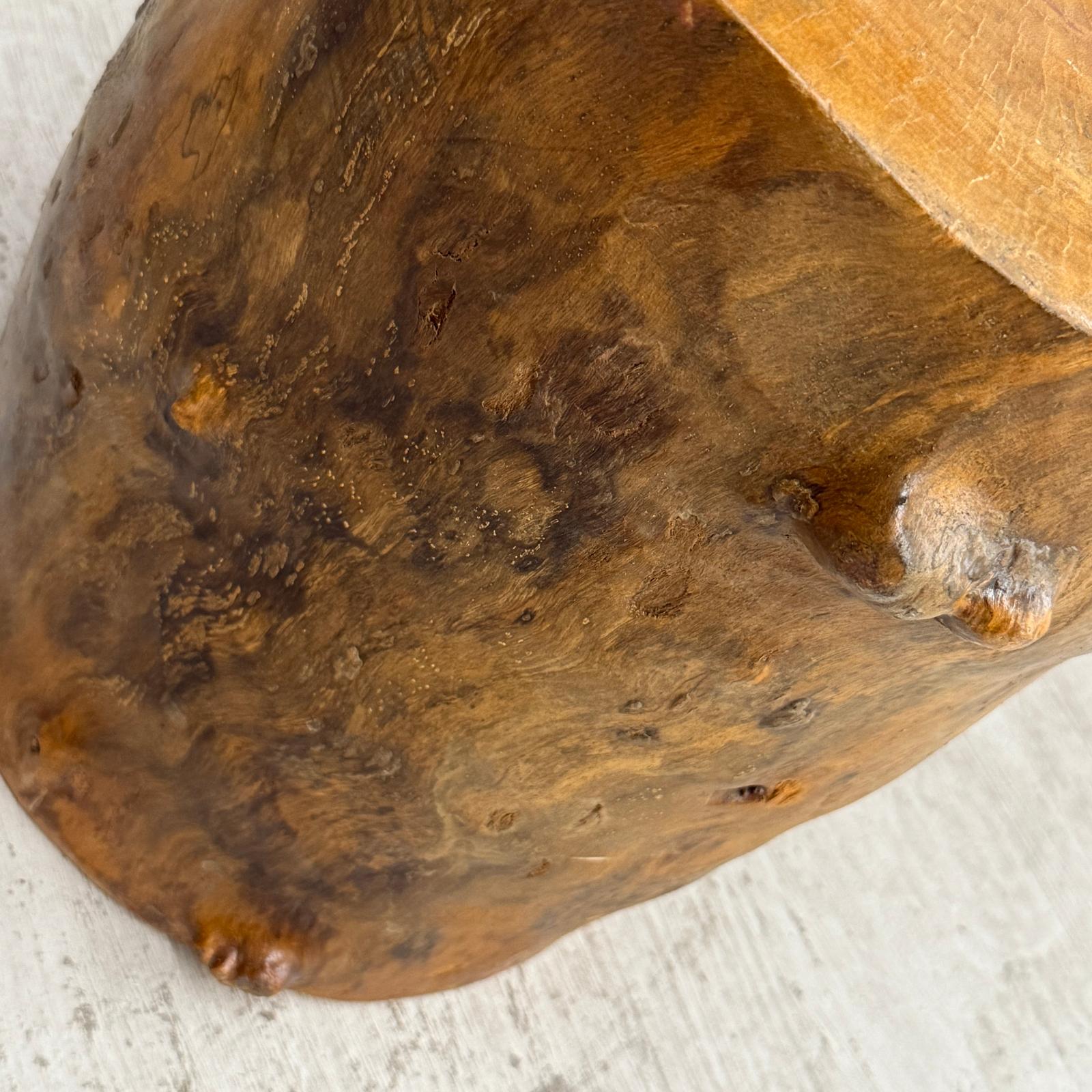 Skinny Golden Brown Reclaimed Tree Trunk Side Pedestal Table - FEA Home