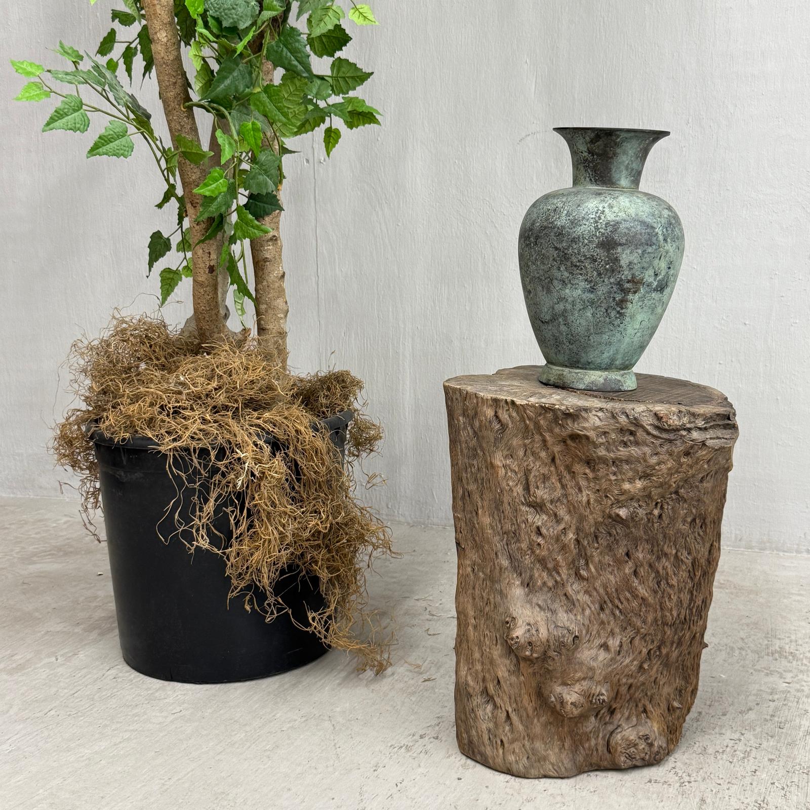 Skinny Textured Free-Form Tree Trunk Side Pedestal Table - FEA Home