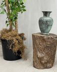 Skinny Textured Free-Form Tree Trunk Side Pedestal Table - FEA Home