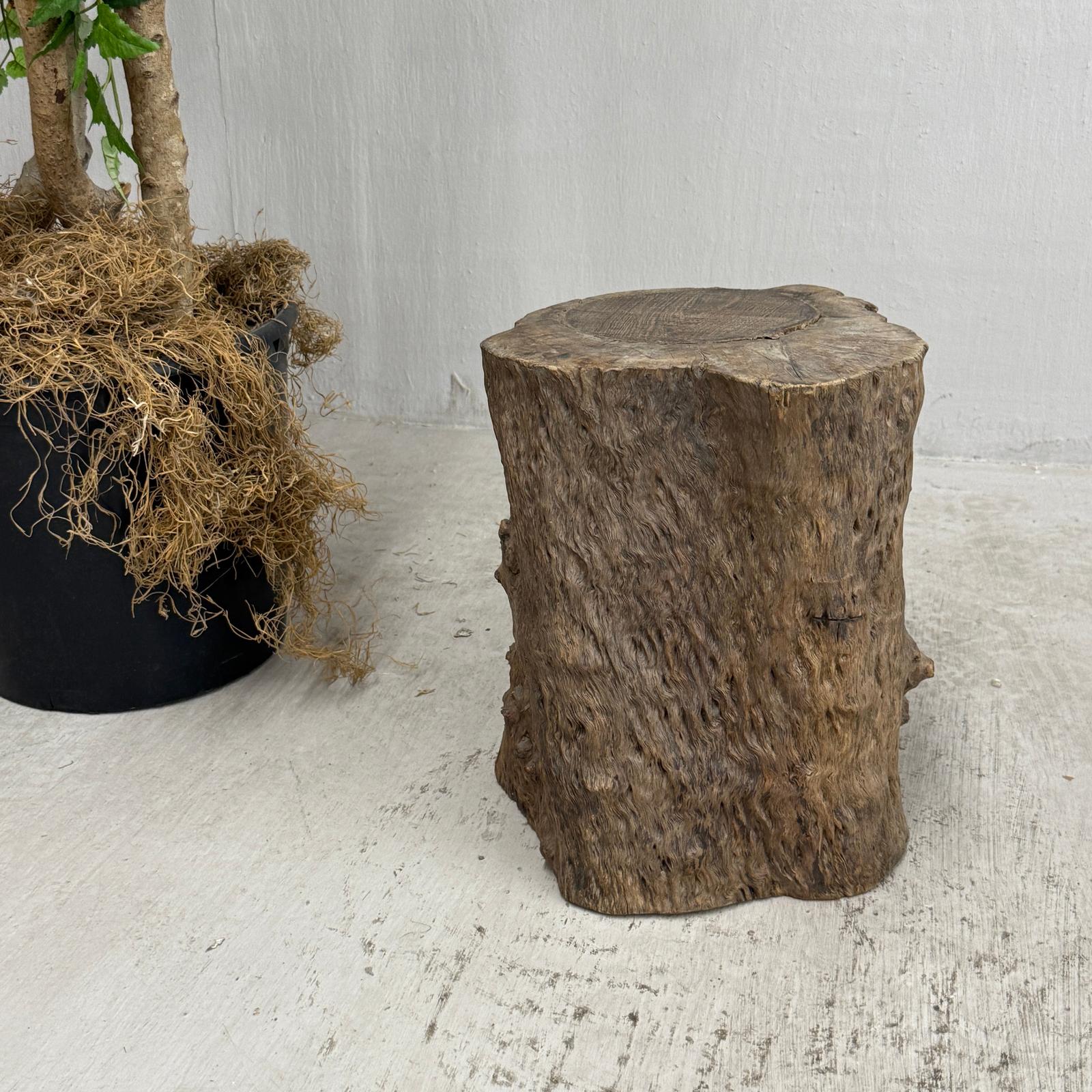 Skinny Textured Free-Form Tree Trunk Side Pedestal Table - FEA Home