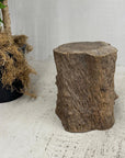 Skinny Textured Free-Form Tree Trunk Side Pedestal Table - FEA Home