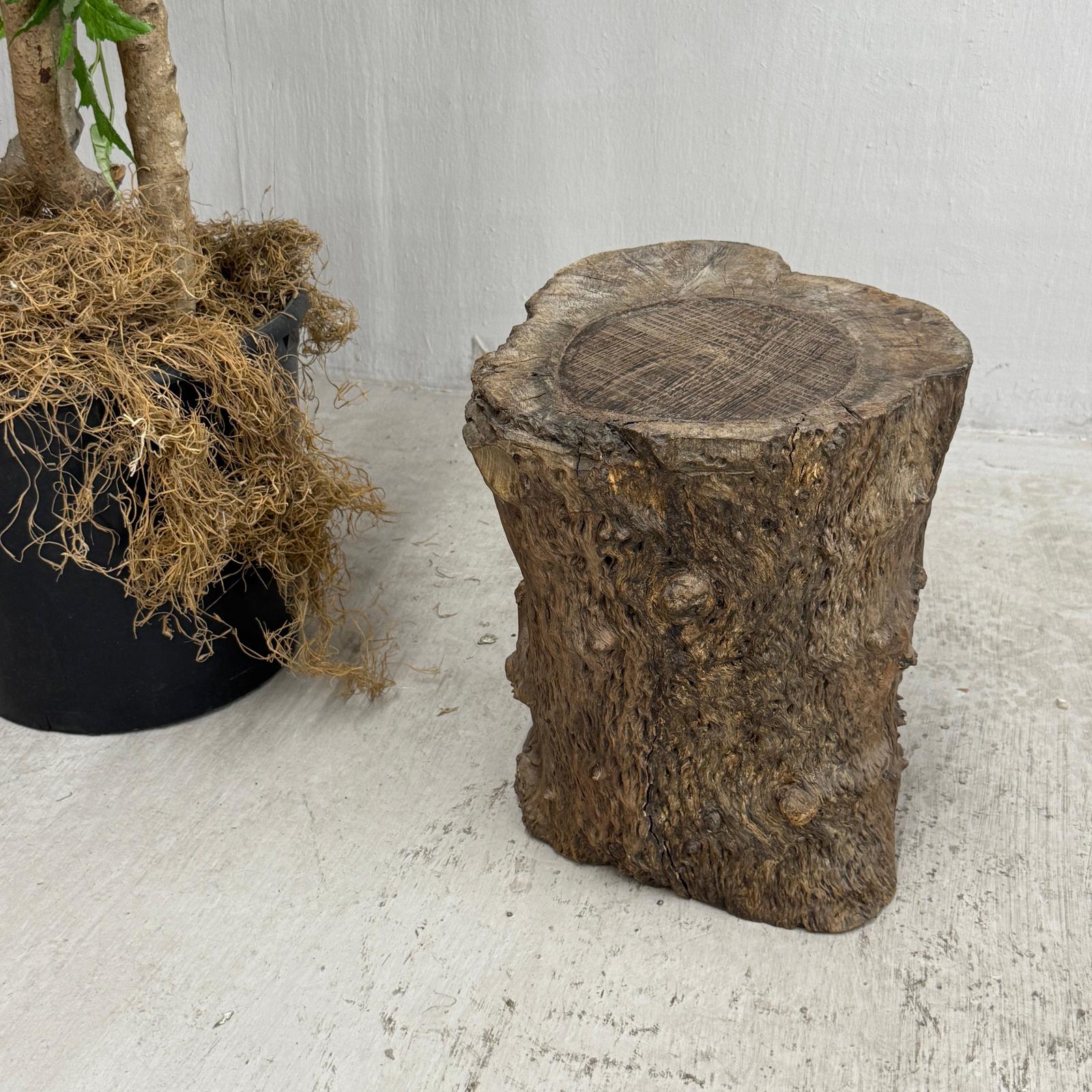 Skinny Textured Free-Form Tree Trunk Side Pedestal Table - FEA Home