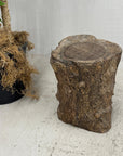Skinny Textured Free-Form Tree Trunk Side Pedestal Table - FEA Home