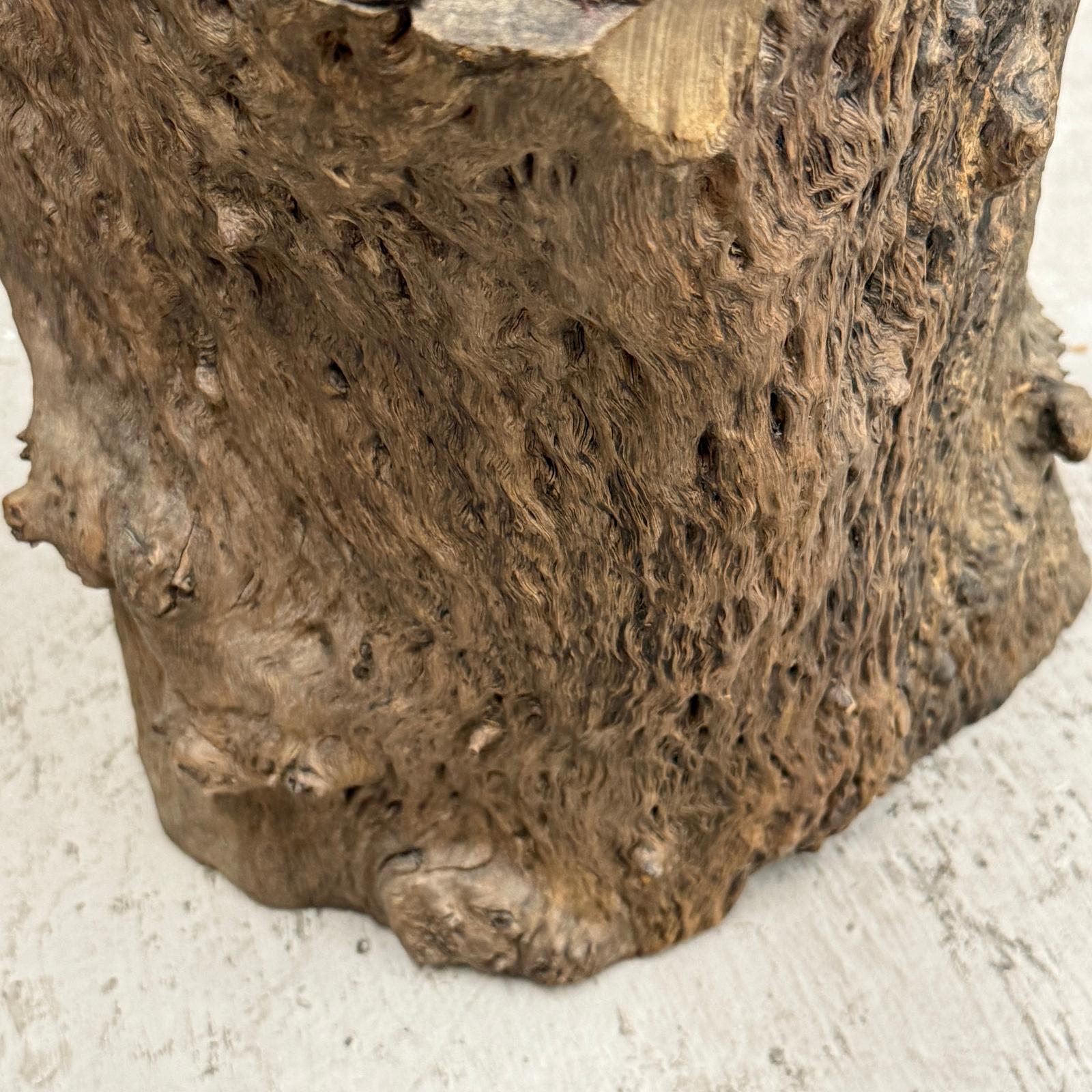 Skinny Textured Free-Form Tree Trunk Side Pedestal Table - FEA Home
