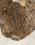 Skinny Textured Free-Form Tree Trunk Side Pedestal Table - FEA Home