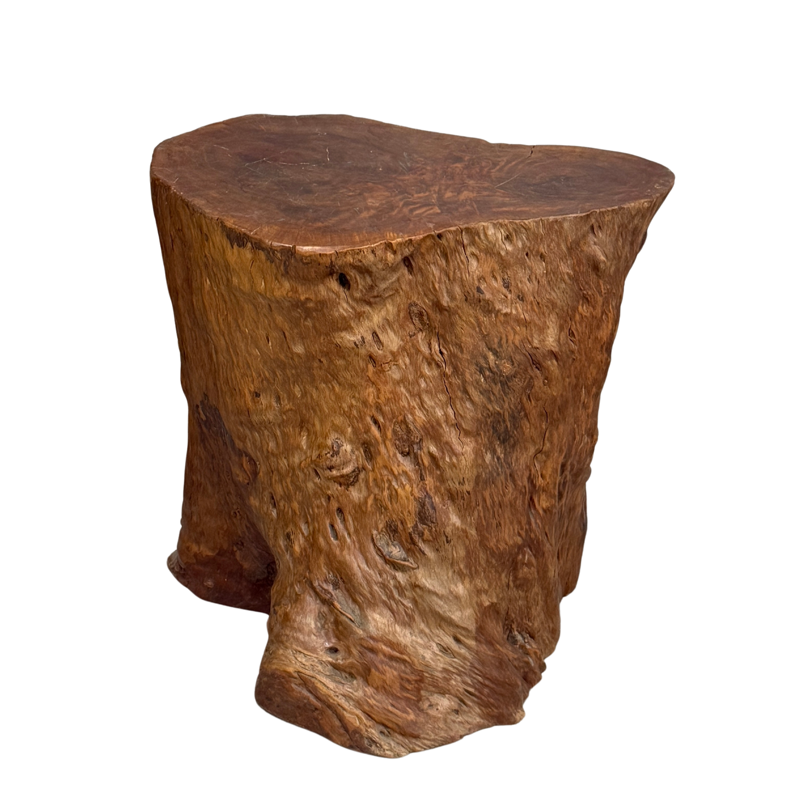 Warm Honey Brown Free-Form Tree Trunk Side Pedestal Table - FEA Home